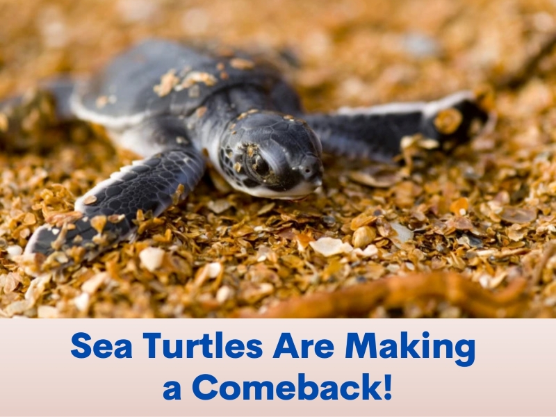 Uplifting News