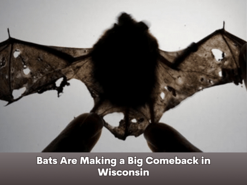Uplifting News