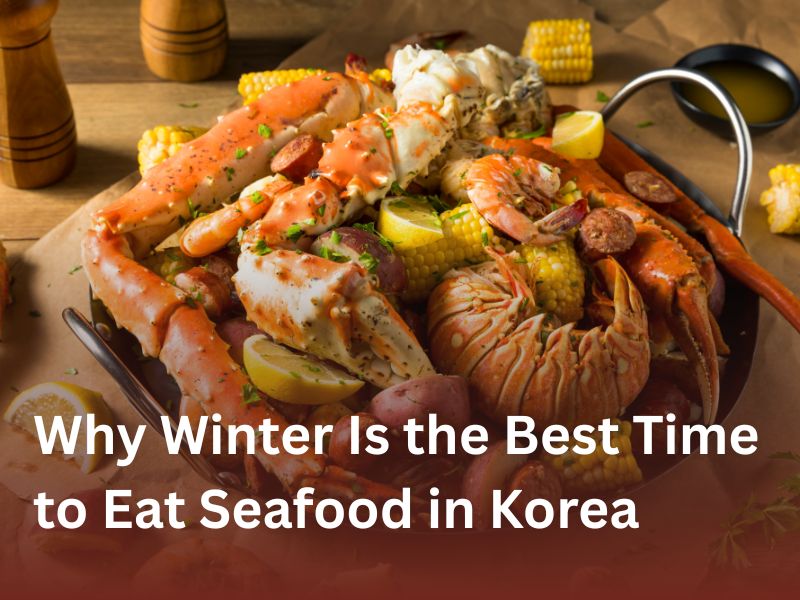 Why Winter Is the Best Time to Eat Seafood in Korea