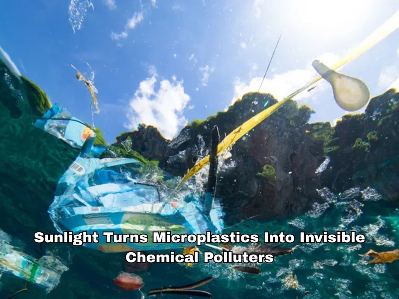 Sunlight Turns Microplastics Into Invisible Chemical Polluters
