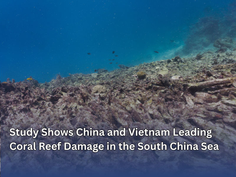 Study Shows China and Vietnam Leading Coral Reef Damage in the South China Sea