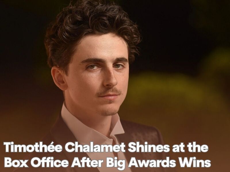  Timothée Chalamet Shines at the Box Office After Big Awards Wins