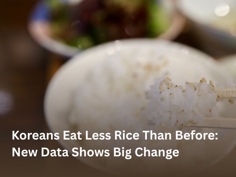 Koreans Eat Less Rice Than Before: New Data Shows Big Change