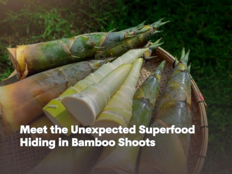 Meet the Unexpected Superfood Hiding in Bamboo Shoots