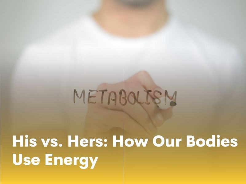 His vs. Hers: How Our Bodies Use Energy