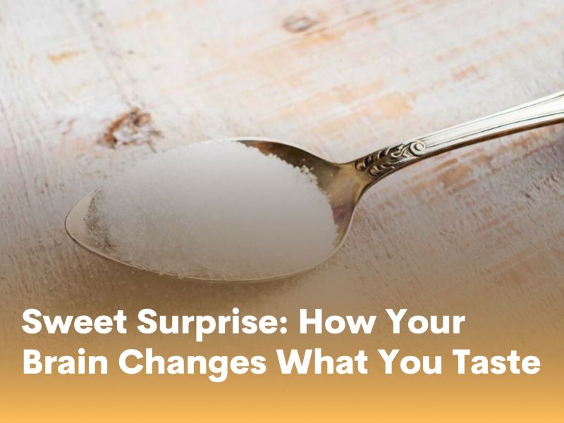 Sweet Surprise: How Your Brain Changes What You Taste