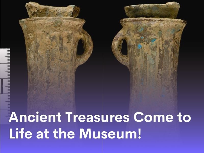 Ancient Treasures Come to Life at the Museum!