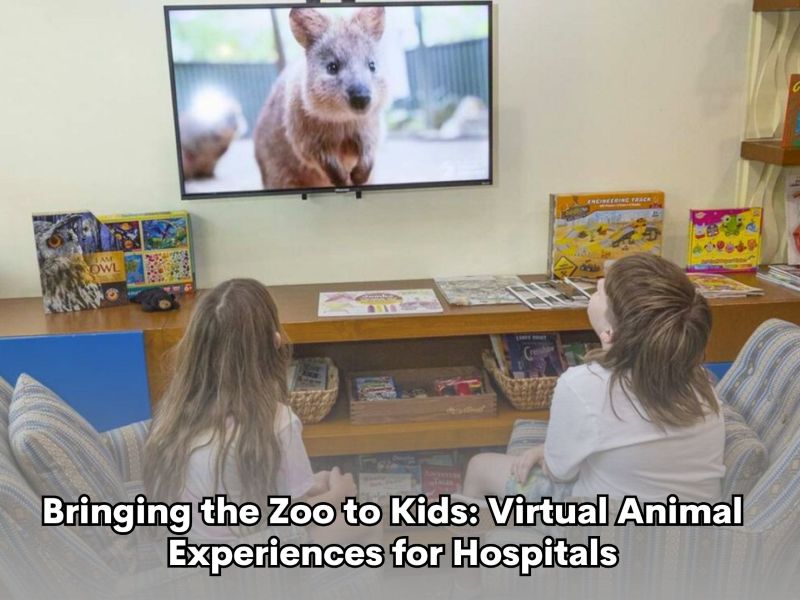 Bringing the Zoo to Kids: Virtual Animal Experiences for Hospitals