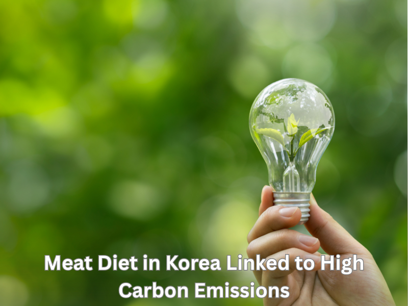 Meat Diet in Korea Linked to High Carbon Emissions