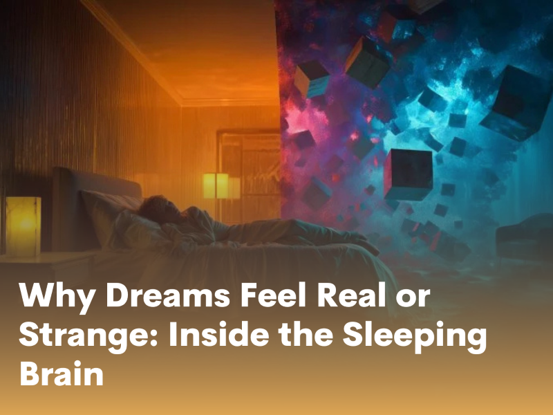Why Dreams Feel Real or Strange: Inside the Sleeping Brain