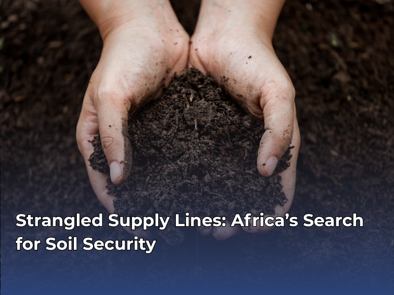 Strangled Supply Lines: Africa’s Search for Soil Security
