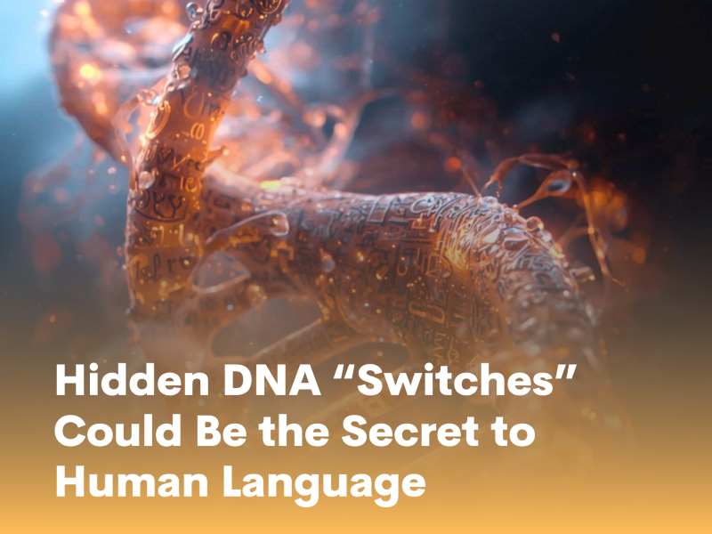  Hidden DNA “Switches” Could Be the Secret to Human Language