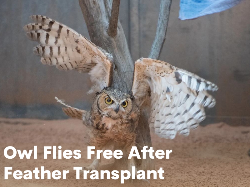 Uplifting News