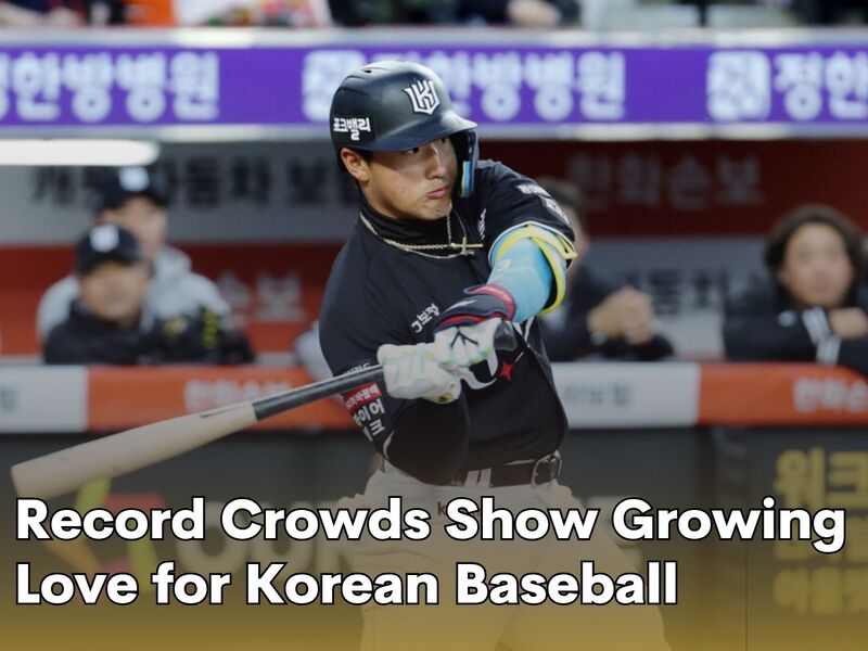 Record Crowds Show Growing Love for Korean Baseball