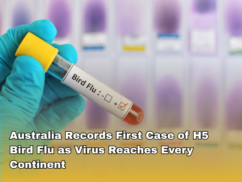 Australia Records First Case of H5 Bird Flu as Virus Reaches Every Continent