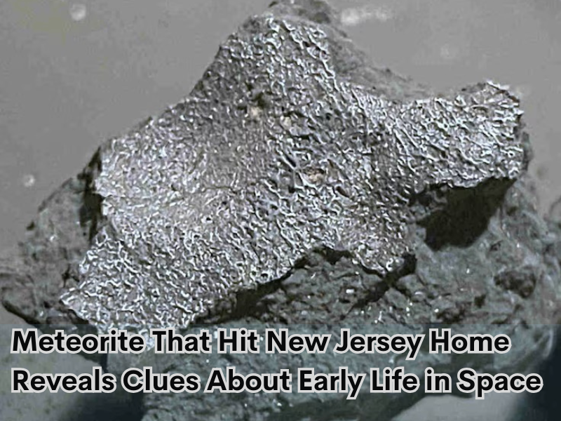Meteorite That Hit New Jersey Home Reveals Clues About Early Life in Space